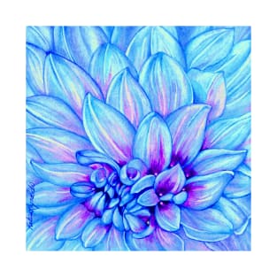 Chrysanthemum in Blue T-Shirt