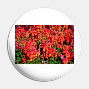 Candied Snapdragons Pin