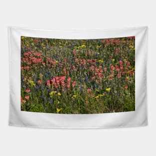 Field of Flowers in China Grove Tapestry