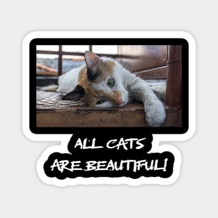 all cats are beautiful Magnet