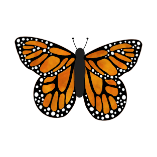 Orange butterfly v1 T-Shirt