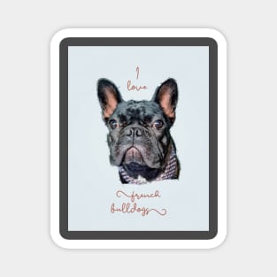 I Love My French Bulldog Magnet