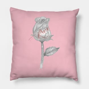 A Little Rose Sketch Pillow