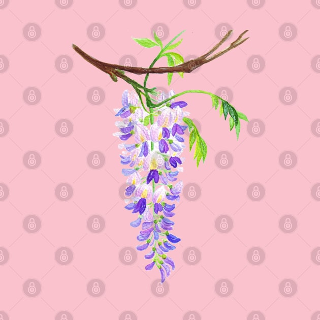 Purple Wisteria Branch - Watercolor Botanical Illustration by Wolshebnaja