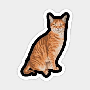 The Orange Cat Magnet