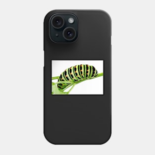 Swallowtail caterpillar Phone Case