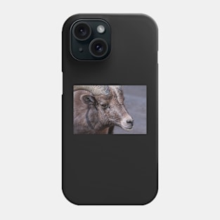 Sheep eye Phone Case