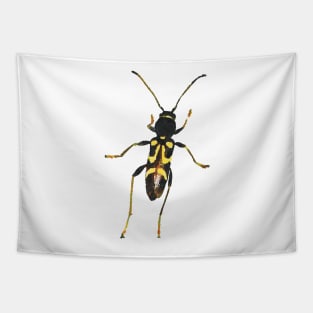 Round-necked Longhorn Beetle Tapestry