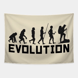 Evolution Tapestry