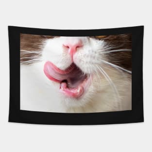 Cat with Tongue Face Tapestry