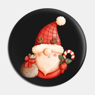 Christmas decorations, christmas gnomes Pin