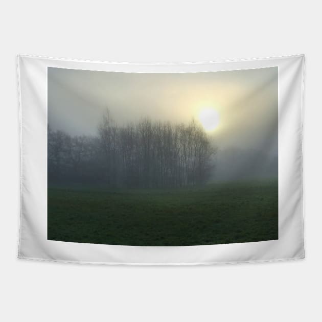 Atmosphere Tapestry by JohnDalkin