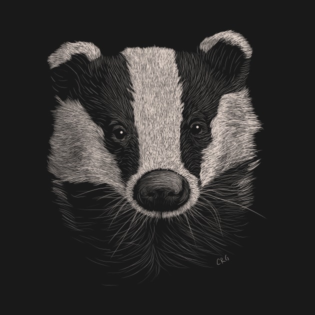 European Badger by Walking in Nature