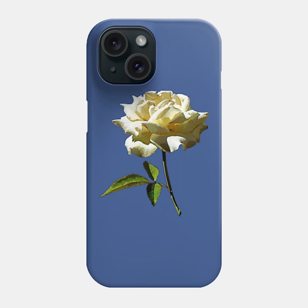 Roses - White Rose in Sunshine Phone Case by SusanSavad