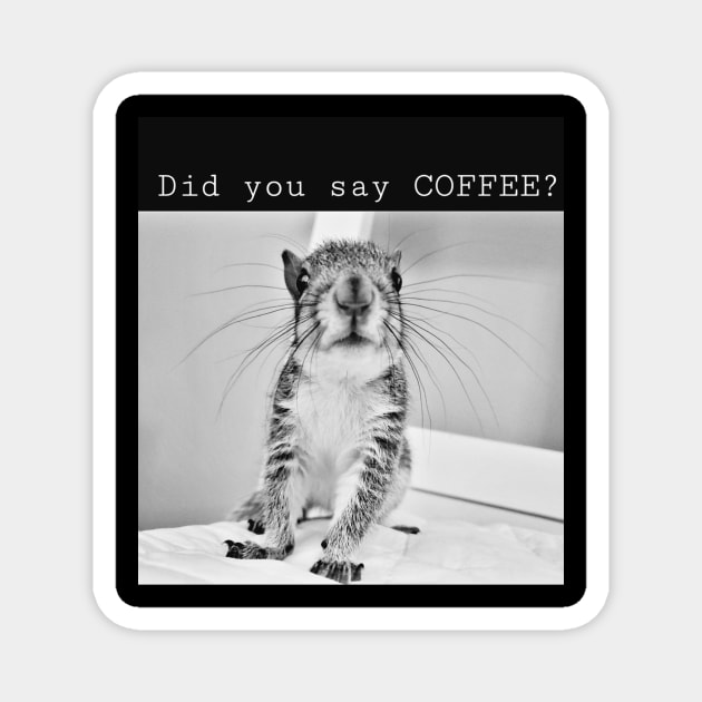 Coffee Squirrel B/W Magnet by BubblesTheSquirrel