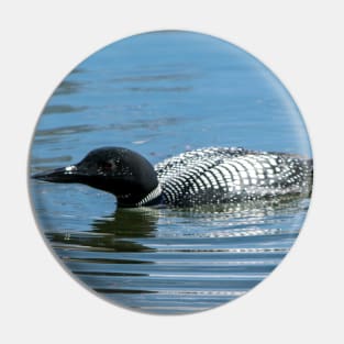 Male Loon Pin