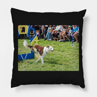 Dog jumping Pillow