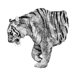 Tiger T-Shirt