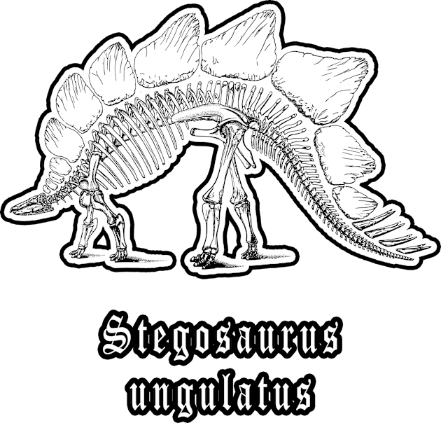 🦖 Fossil Skeleton of a Stegosaurus ungulatus Dinosaur Kids T-Shirt by Pixoplanet