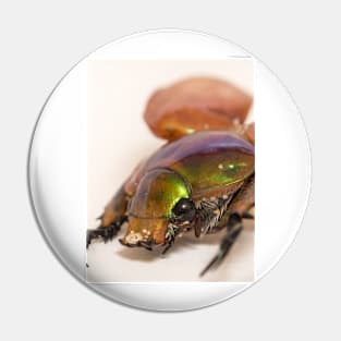 Summer Christmas Beetle Pin