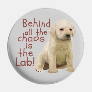 Behind all the Chaos is the Lab! Pin