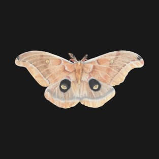 Polyphemus Moth Insect Themed Entomology Drawing T-Shirt