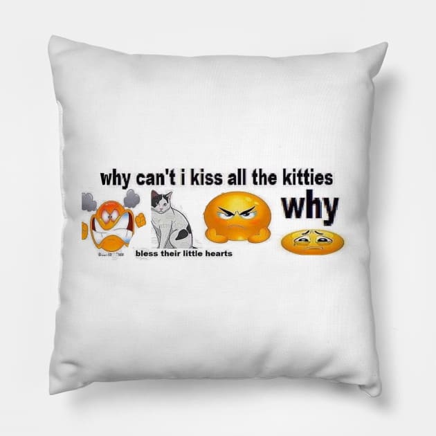 Why Can't I Kiss All The Kitties Bumper Sticker Pillow by casserolestan