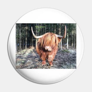 Scottish Highland Cattle Cow 2329 Pin