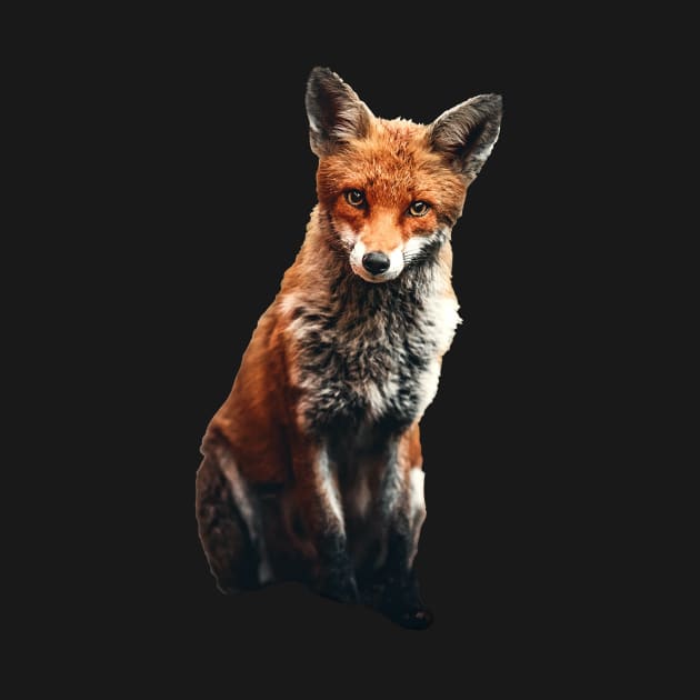 Realistic fox by ermeteke