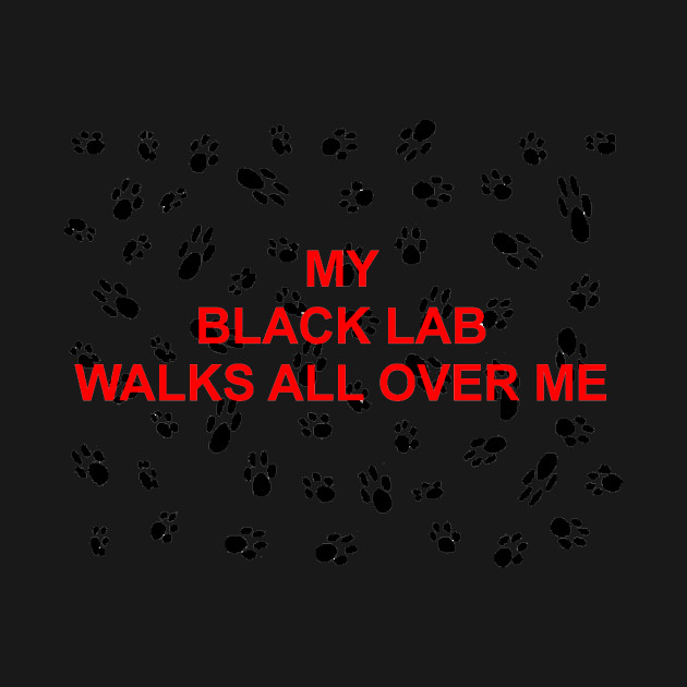 My black lab walks all over me - Black Lab - T-Shirt