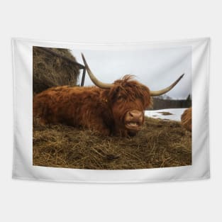 Scottish Highland Cattle Cow 1946 Tapestry