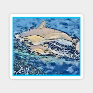 Dolphin#3 Magnet