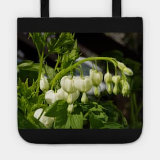 white bleeding hearts #3 Tote