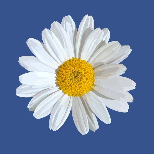 White marguerite blossom on light blue by A_using_colors