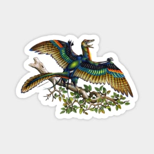 Archaeopteryx Magnet