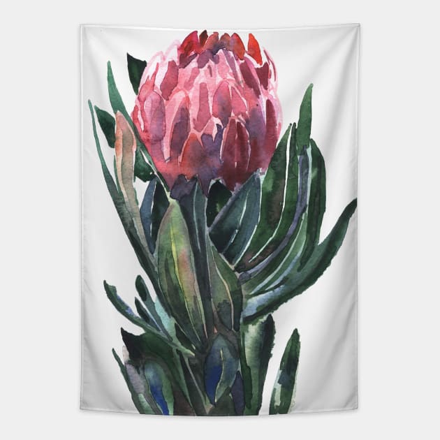 flower protea, watercolor picture Tapestry by Olga Berlet