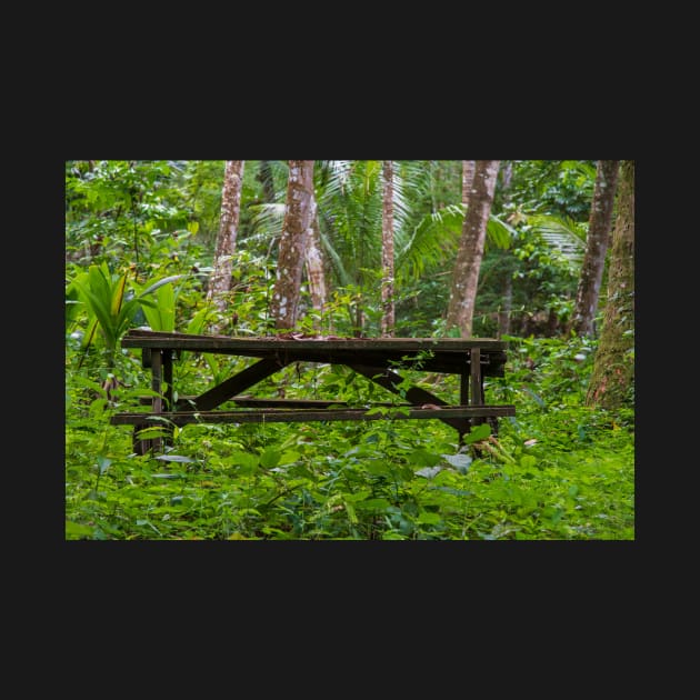 Picnic Table by gdb2