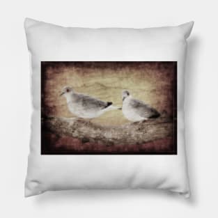 Mourning Doves Pillow