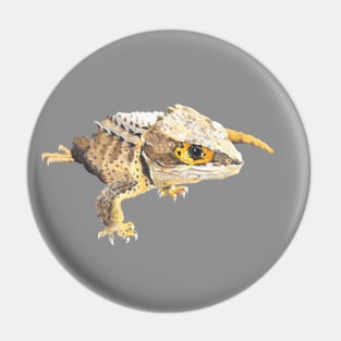 Red Eye Crocodile Skink Pin