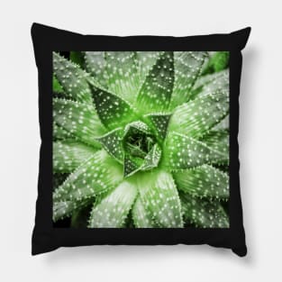 Plant print, Cactus print, Succulent, Scandinavian print, Trendy print, Styled, Pillow, Modern art, Wall art, Print, Minimalistic, Modern Pillow