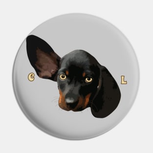 Cool Dachshund Wiener Dog Pin