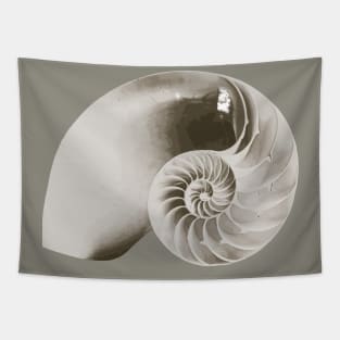 Open Nautilus Shell Tapestry