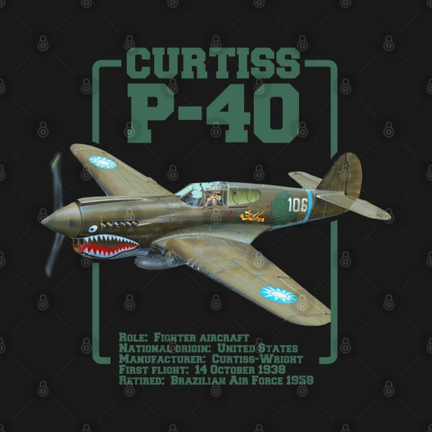 Curtiss P-40 Warhawk | WW2 Plane by Distant War