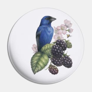 Indigo Bunting Blackberries Pin