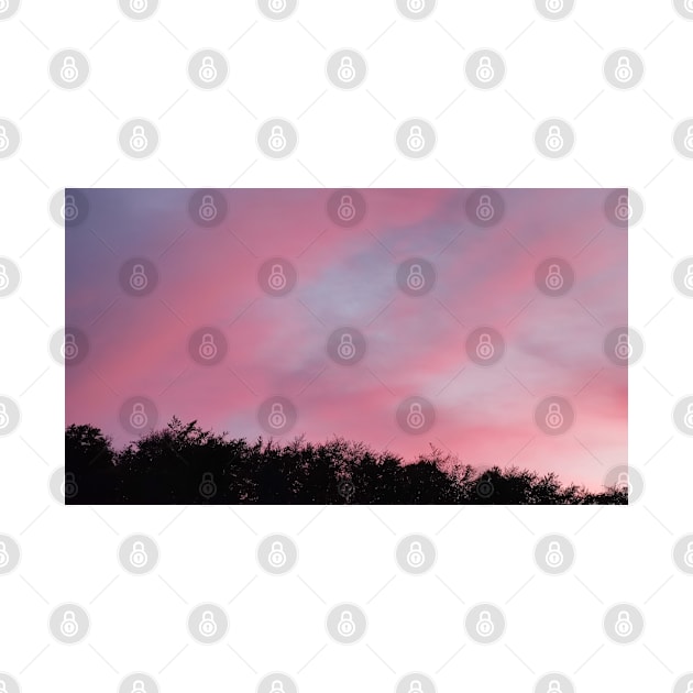 Pink Evening Sky by craftydesigns