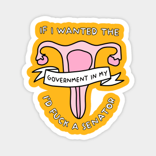 Reproductive Rights Abortion Magnet