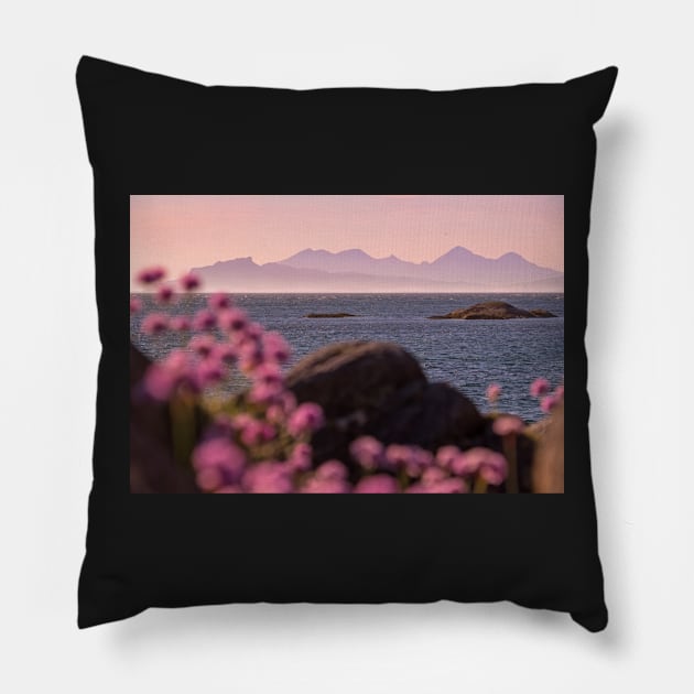 Rum from Ardnamurchan Pillow by geoffshoults