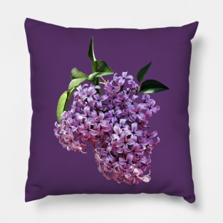 Lilacs - Delicate Pink Lilacs Pillow