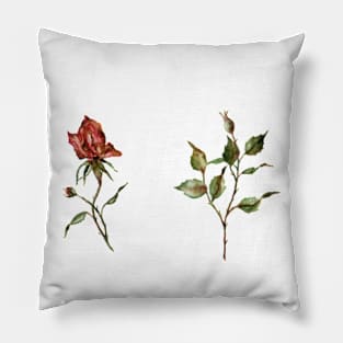 Loose Rose Buds Pillow