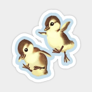 Airborne Baby Ducks Magnet